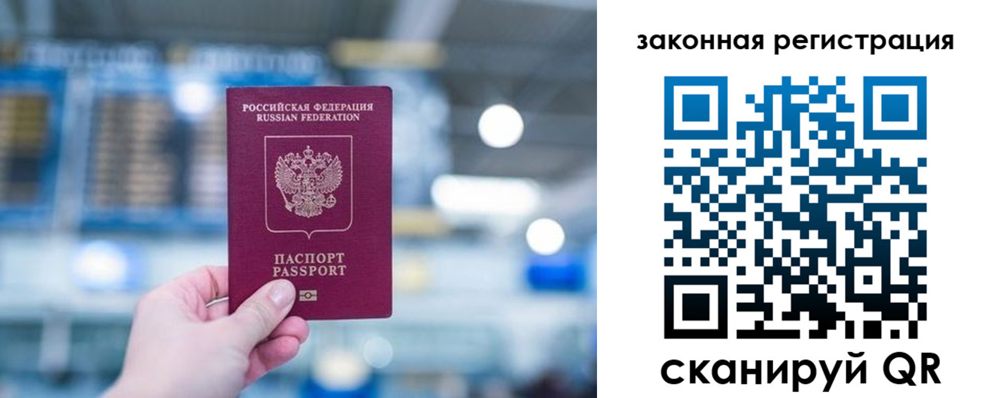 прописка поиск в Вельске